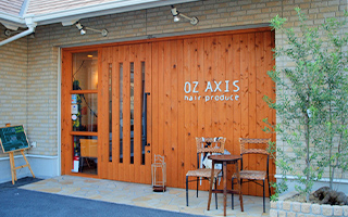 Axis